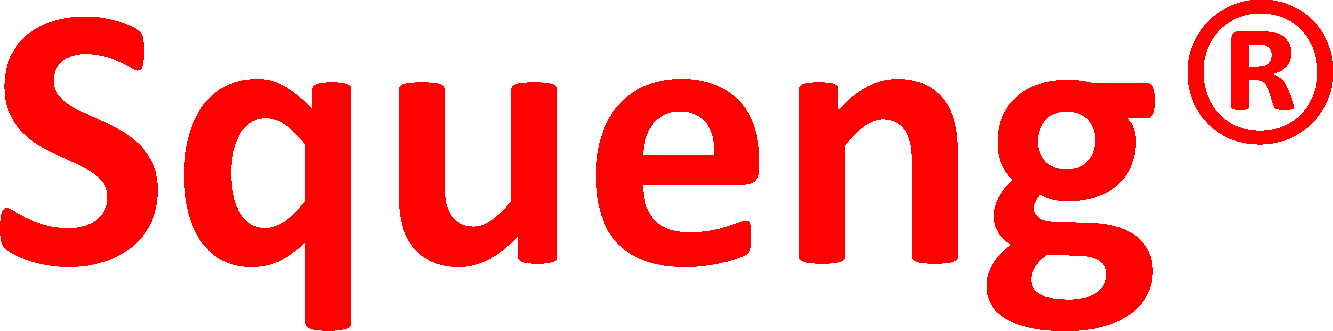 Squeng's logo